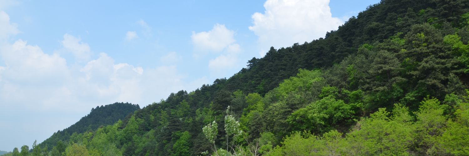 saifengli's profile banner image