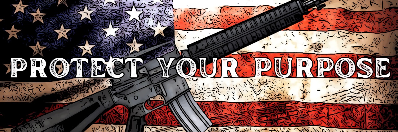 protect_purpose's profile banner image