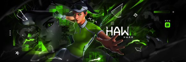 hawkfv_ Profile Banner
