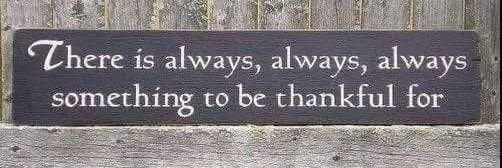 Nicole Shaffer 🐾 banner