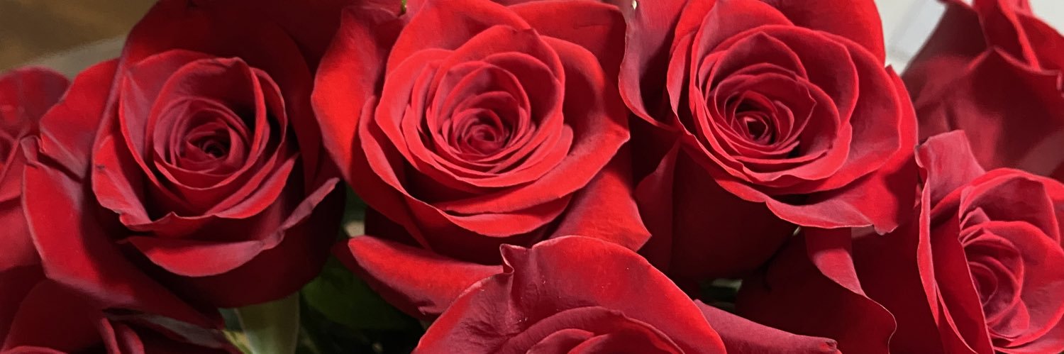 nonetcaa's profile banner image