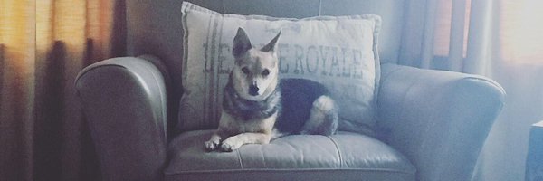 AllonsEnfants Profile Banner