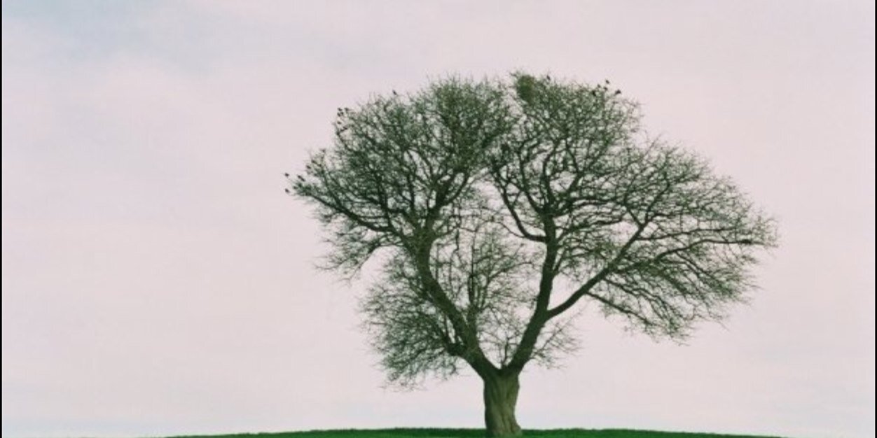 KilicTulin's profile banner image