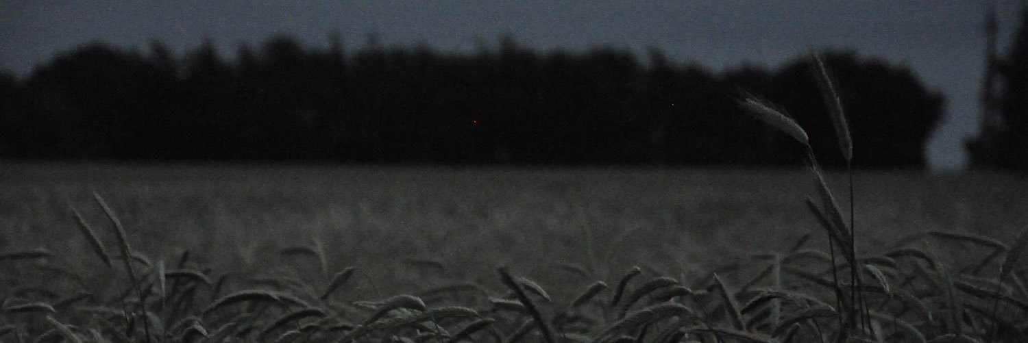 thatotherone's profile banner image