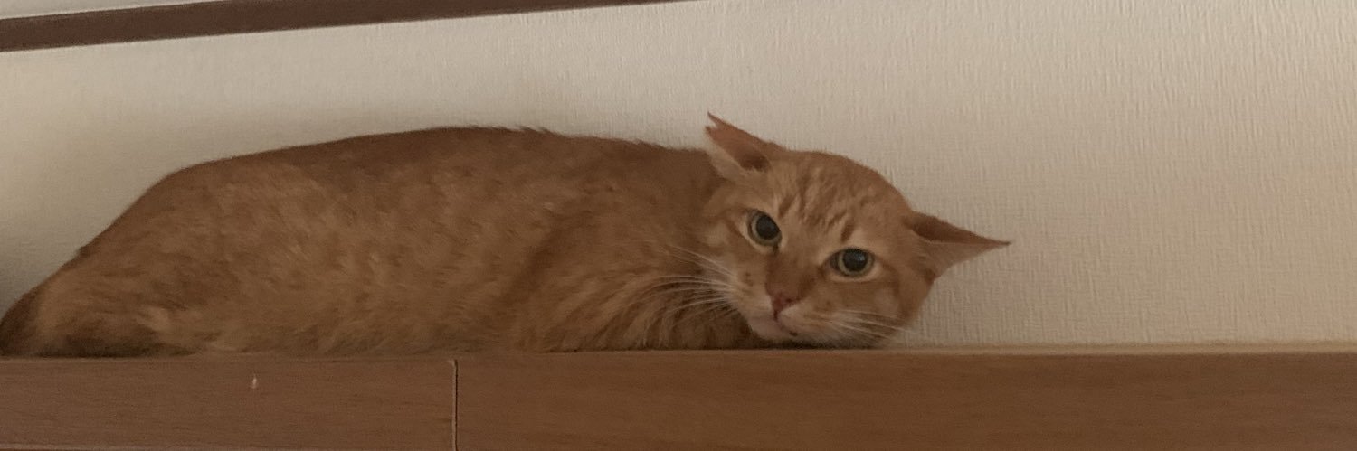 amui_cat's profile banner image