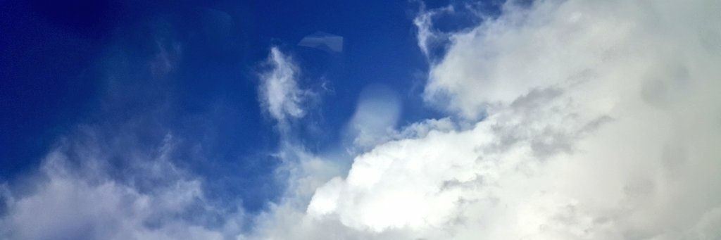 jillianriscoe's profile banner image