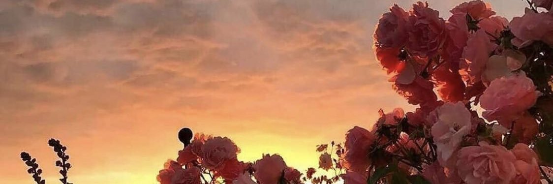 Aof96_'s profile banner image