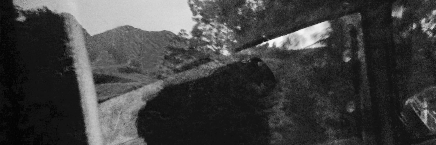 standingdron's profile banner image
