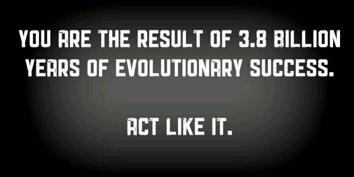 Fringe Minority M7A0S8T8E5R banner