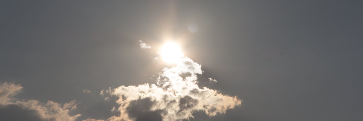 Hichikawan's profile banner image