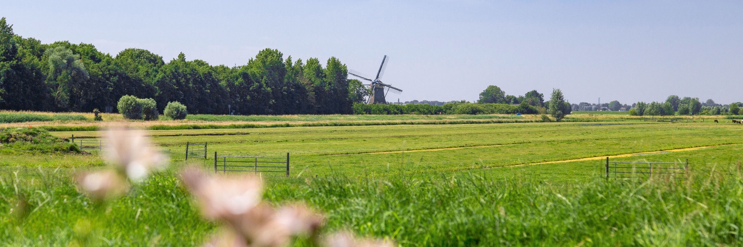 redresnl's profile banner image