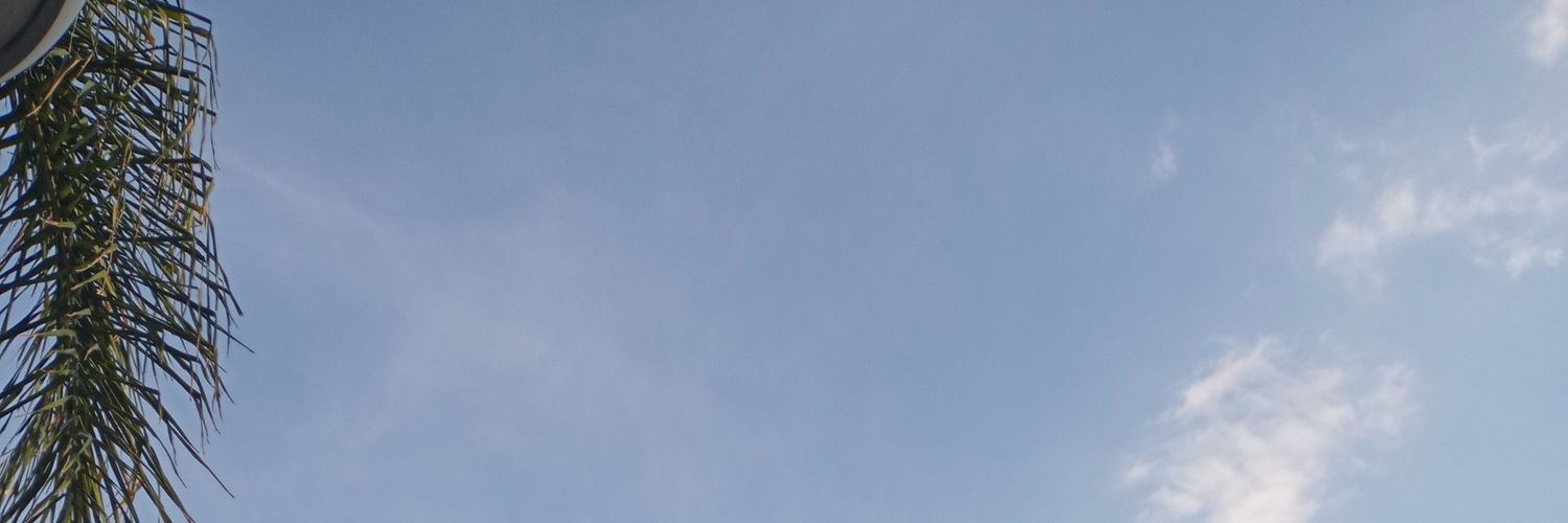 LilyMayorg's profile banner image