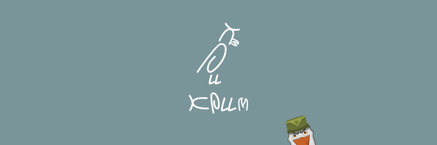CombatSeagull's profile banner image
