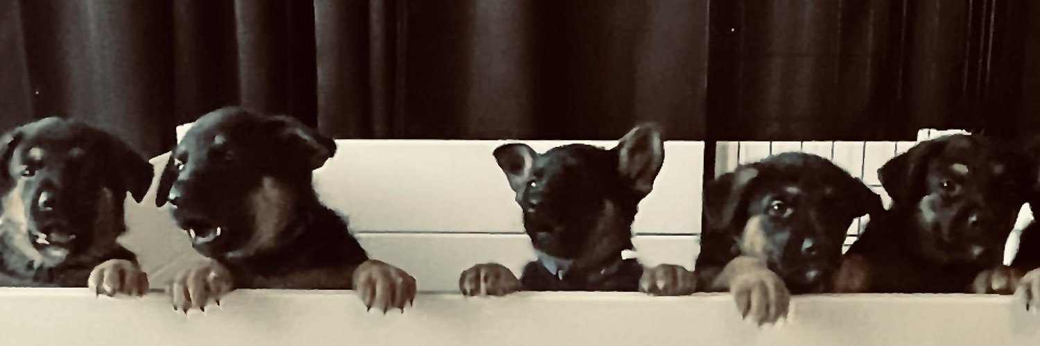 Jobe0813's profile banner image
