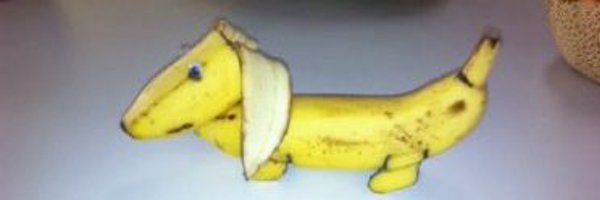 wethaeko Profile Banner