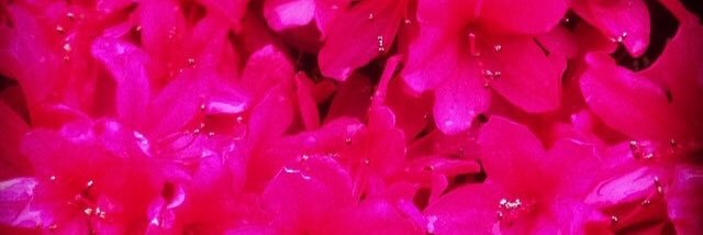 19900710's profile banner image