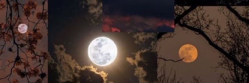 emperor of burgers 🍔 banner