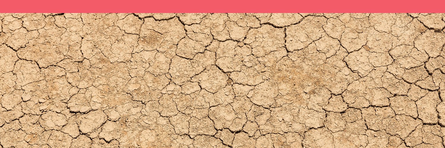 Climate Action Against Disinformation's banner