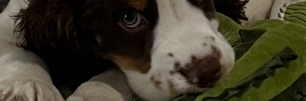 Morgan Forté (Updates) banner