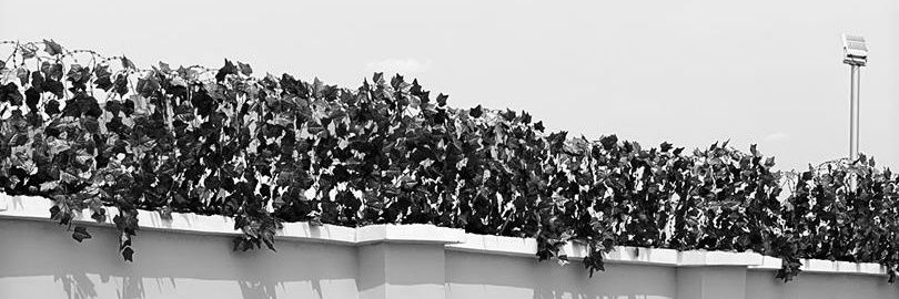 bigdc03_'s profile banner image