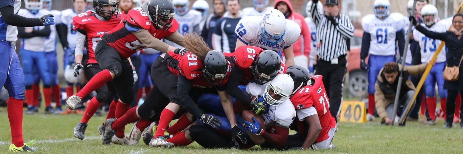 Warwick Wolves banner