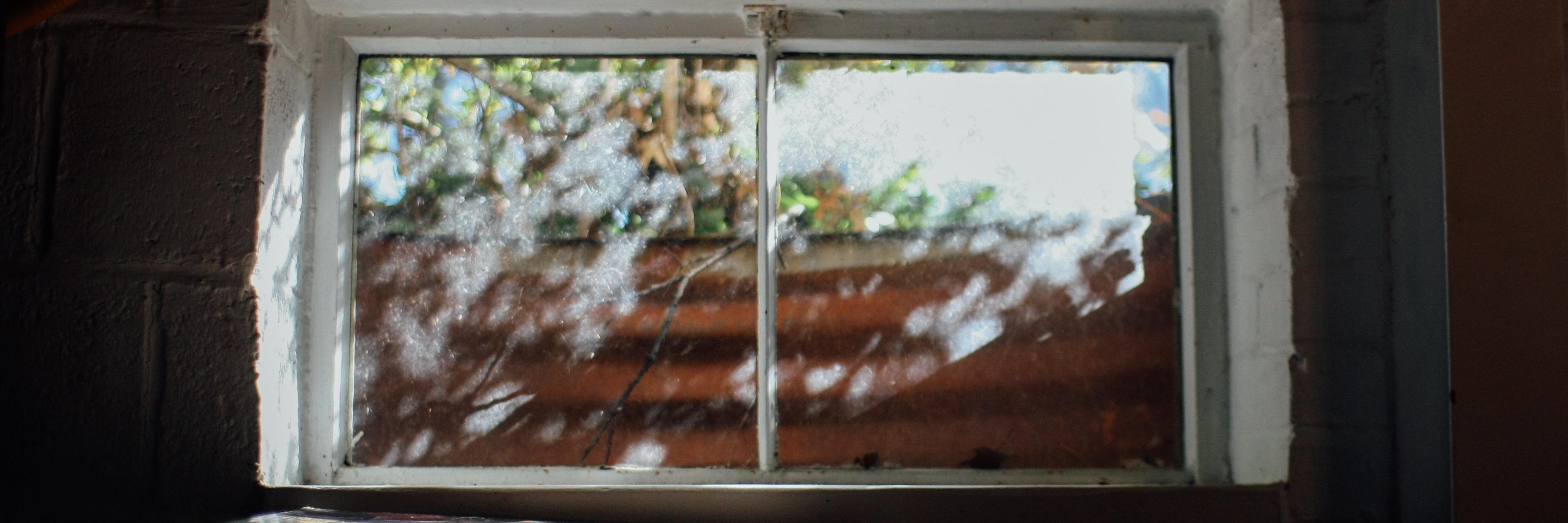 Marianna McMurdock banner