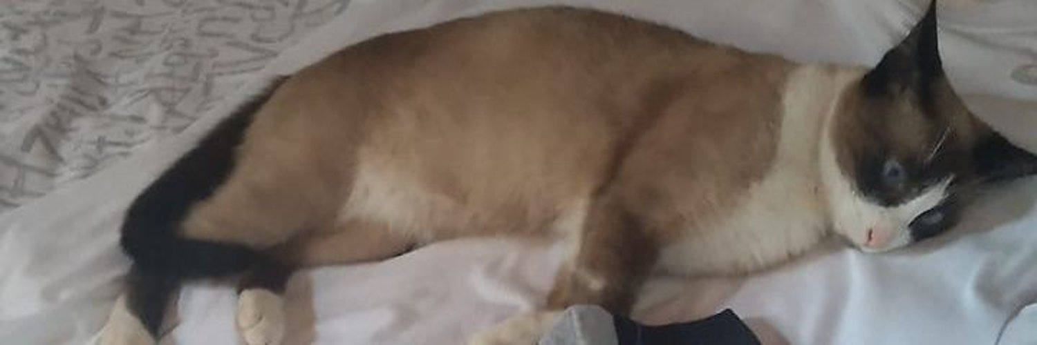 Lusca banner