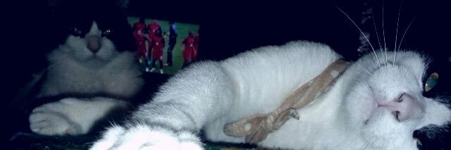 John_F951's profile banner image