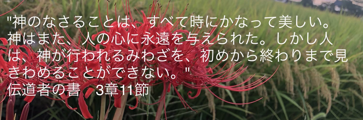 にゃんて banner