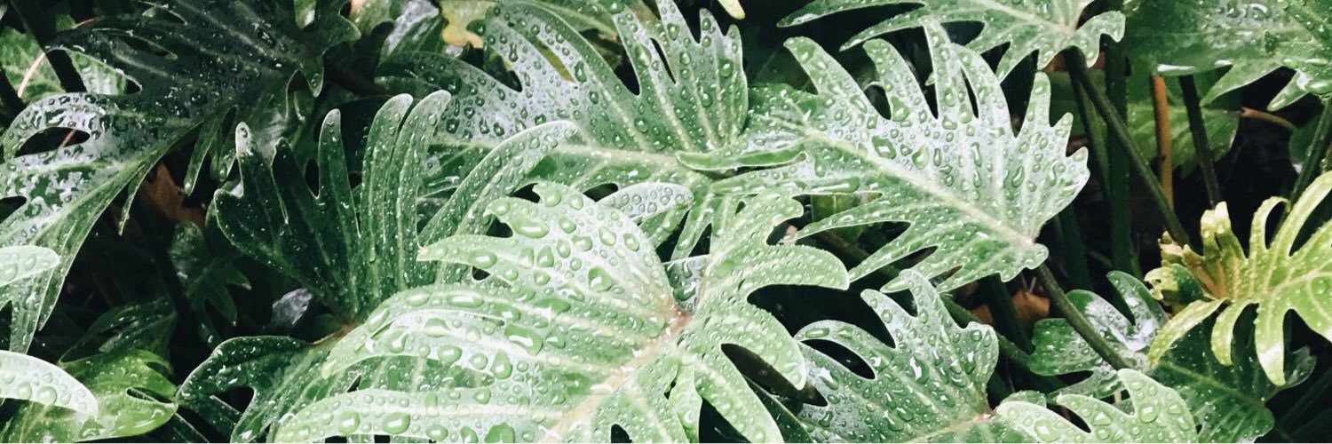 vxneolvera's profile banner image