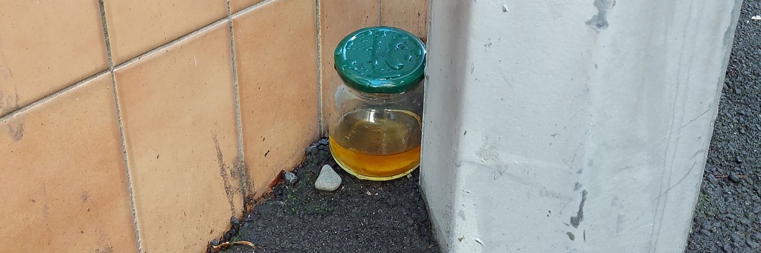 alexa im lost banner