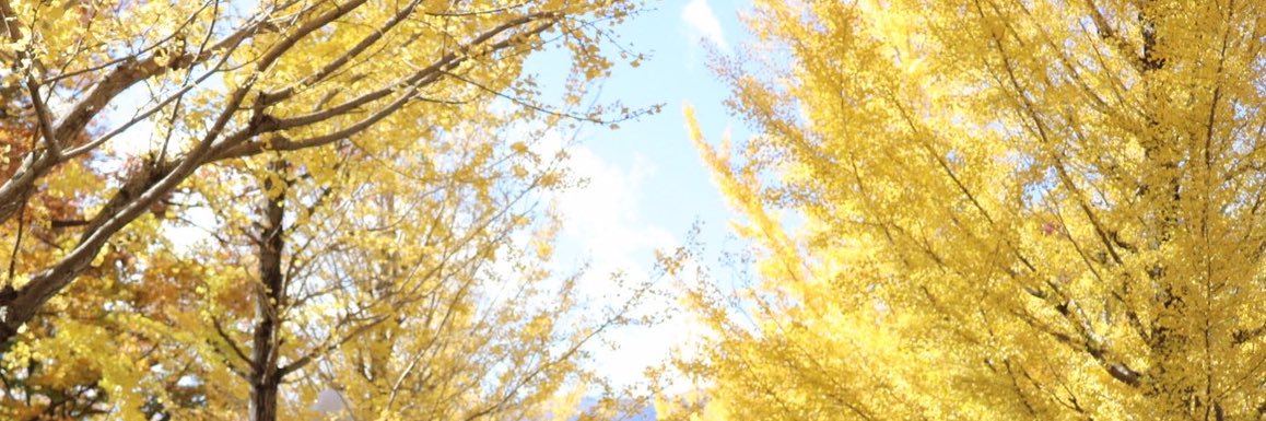 nabe1723's profile banner image