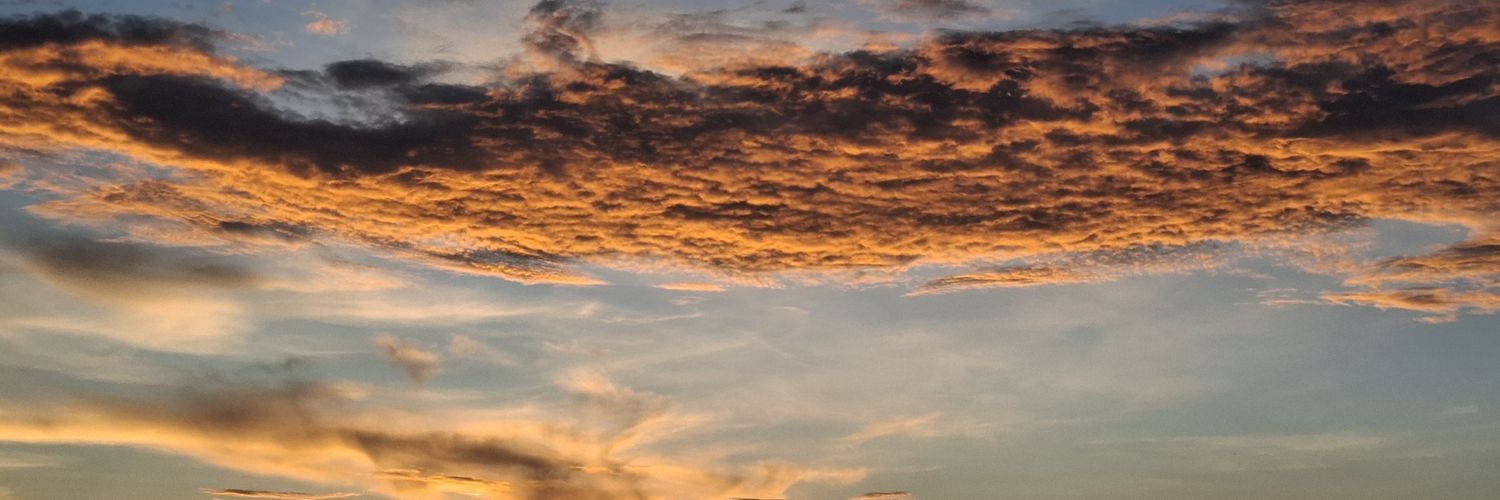 ochinoyi's profile banner image