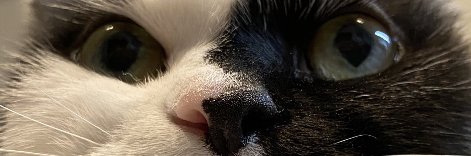 ndr_tw's profile banner image