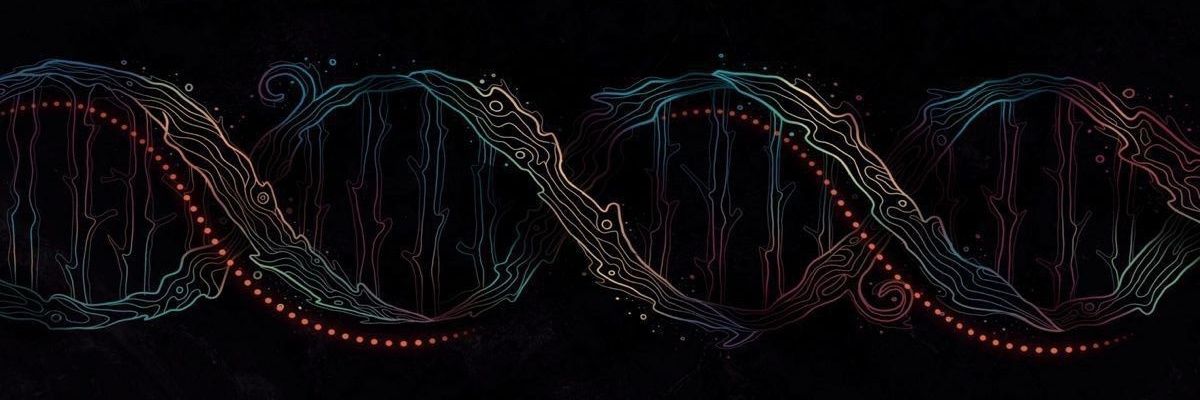 Drione Lenxtuary Gravionalle banner