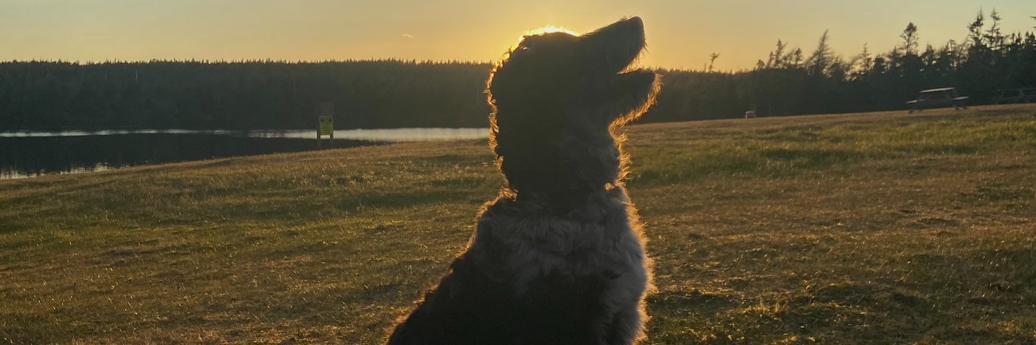 jjackb02's profile banner image