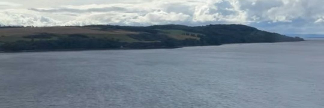 dani banner