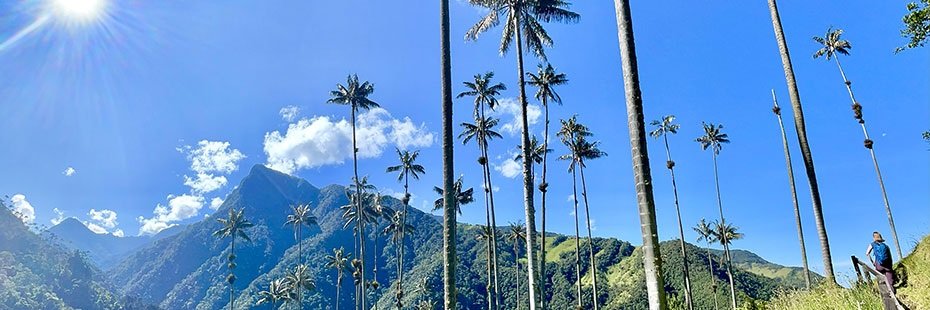 Kate Merrigan banner