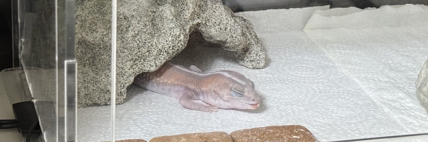 Yeh （永久停更 banner