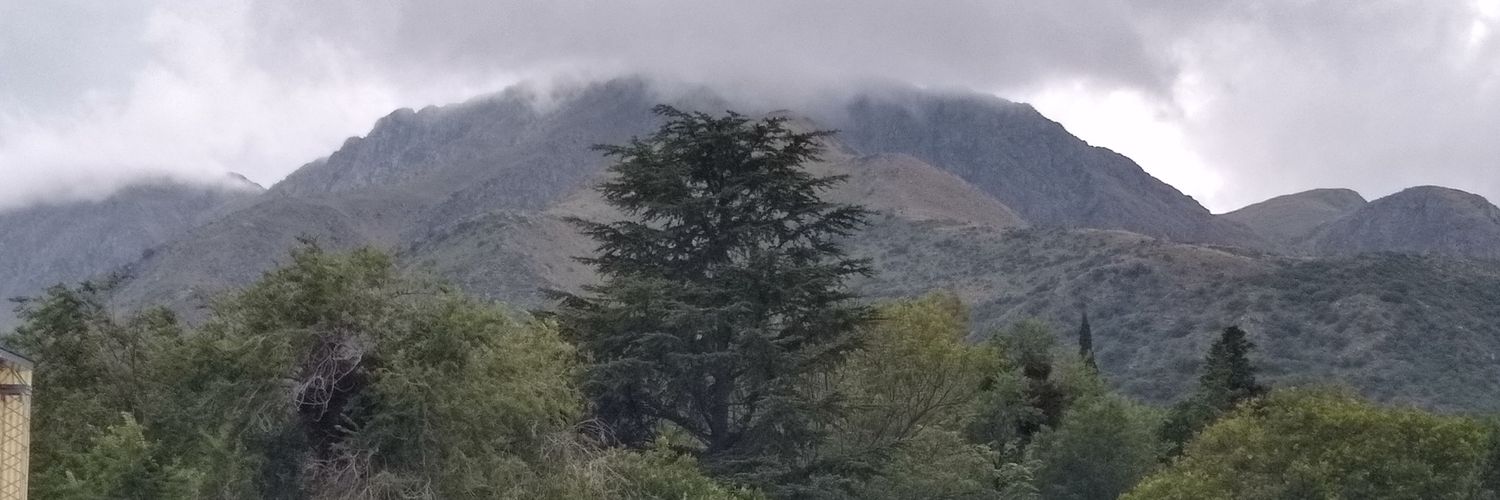 ximecaffaro's profile banner image