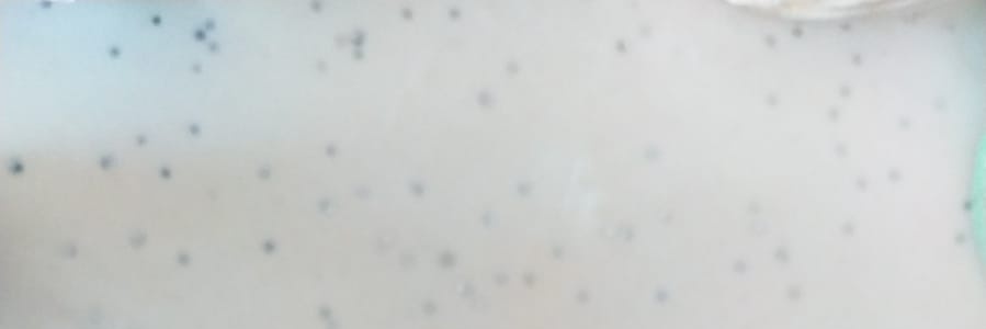 Biryabanci09's profile banner image