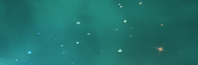 liee || sleeping banner