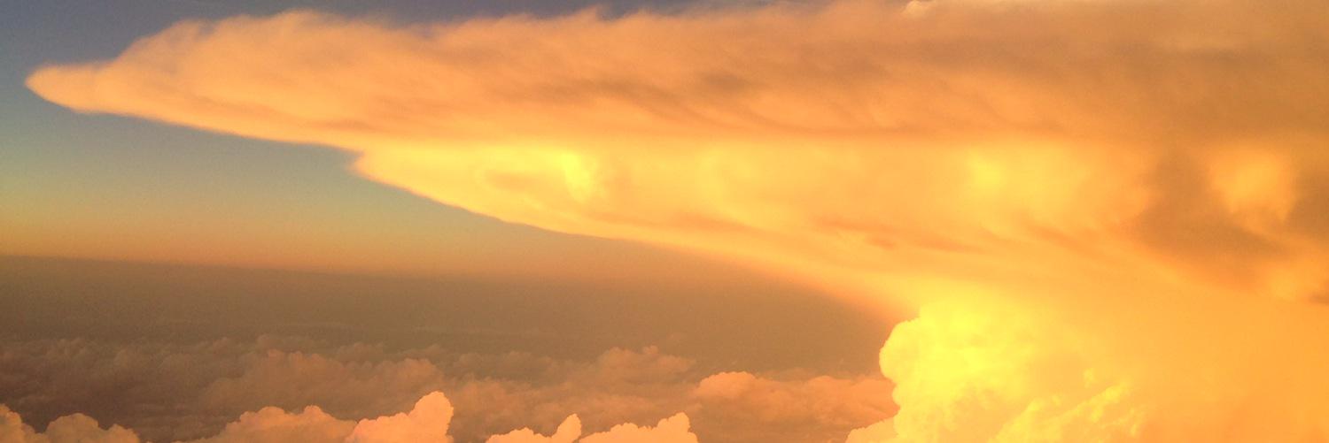 NBArigged's profile banner image