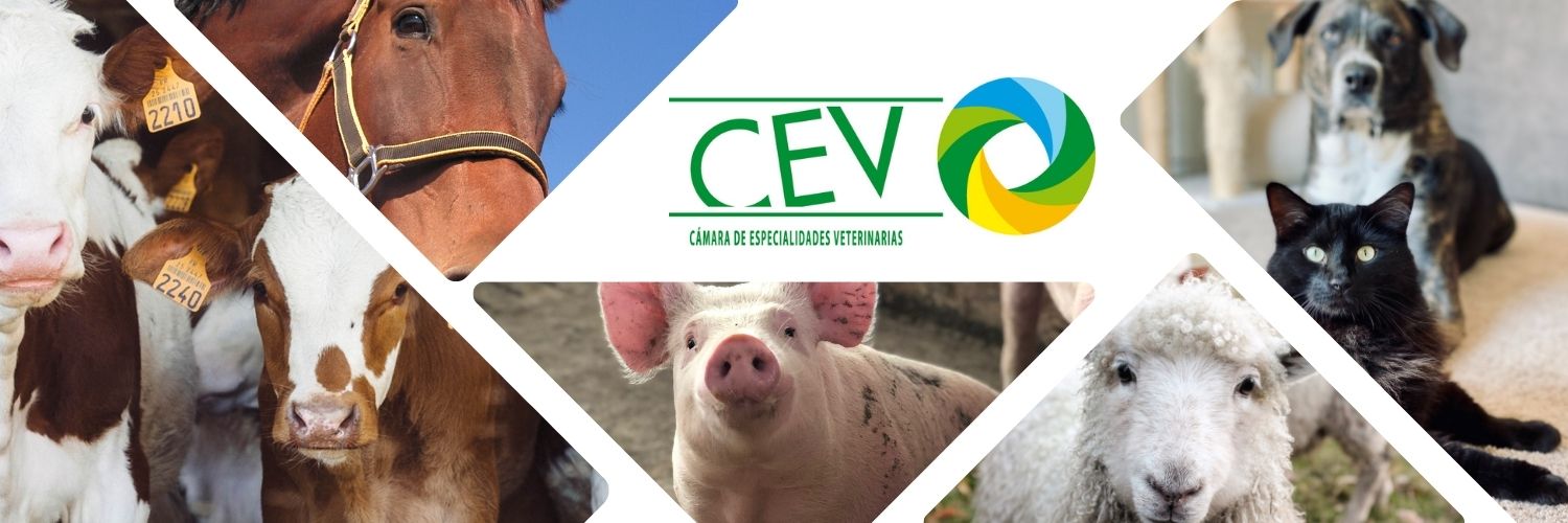 cev_uy's profile banner image