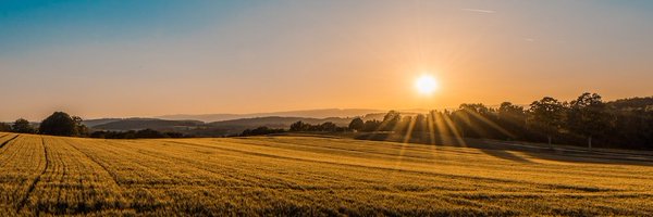 YeeTee50 Profile Banner