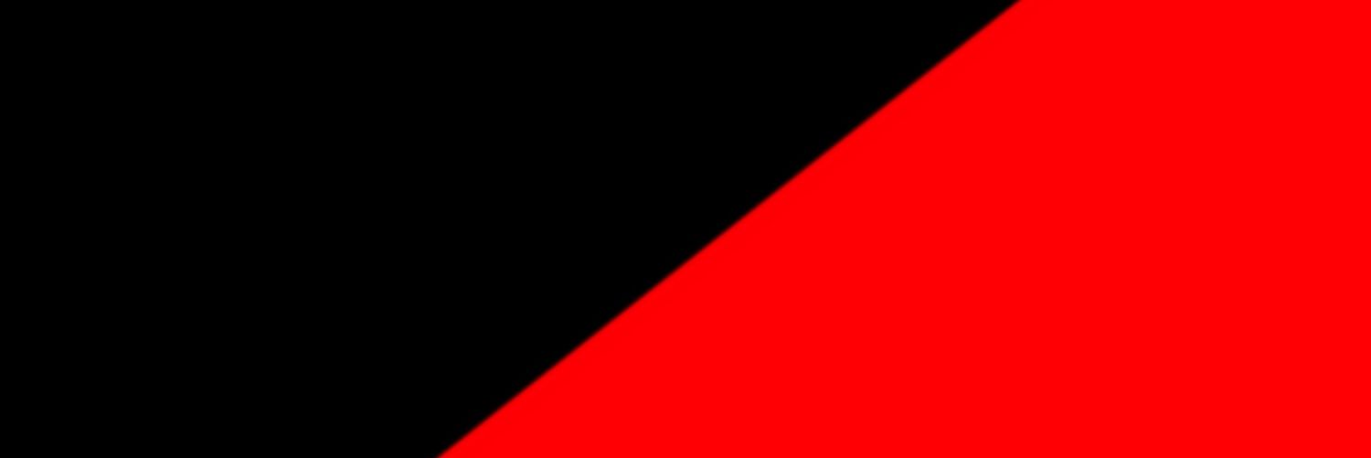 bullrunarmy's profile banner image