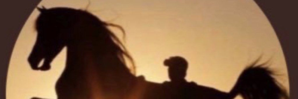 657929's profile banner image