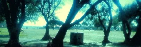 iluv_cats0s Profile Banner