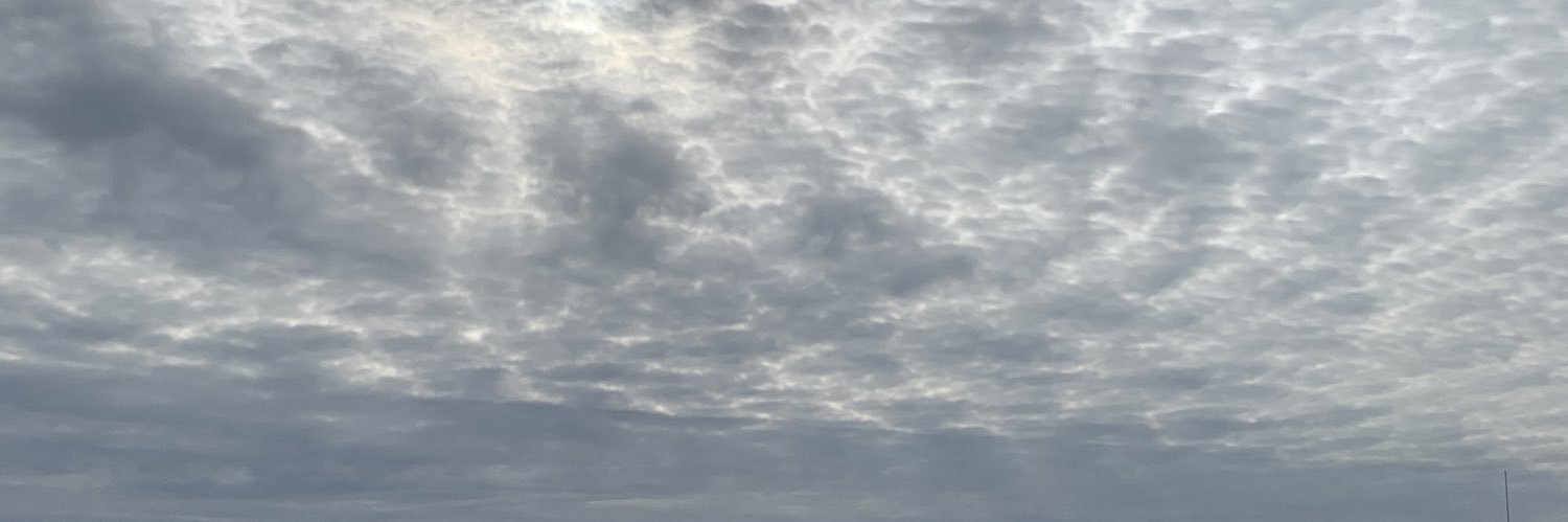 lia12rv's profile banner image