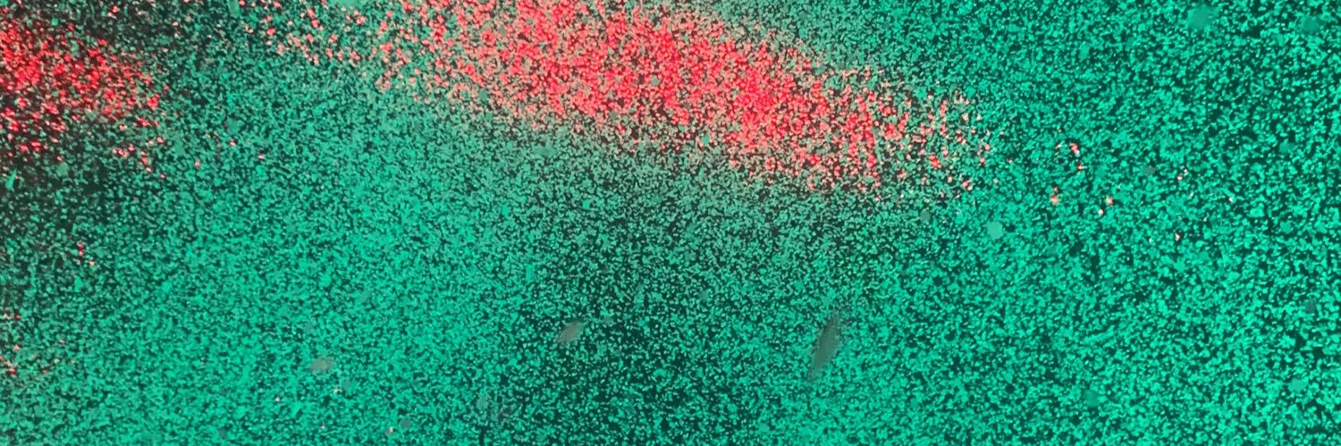 bbacktodecember's profile banner image